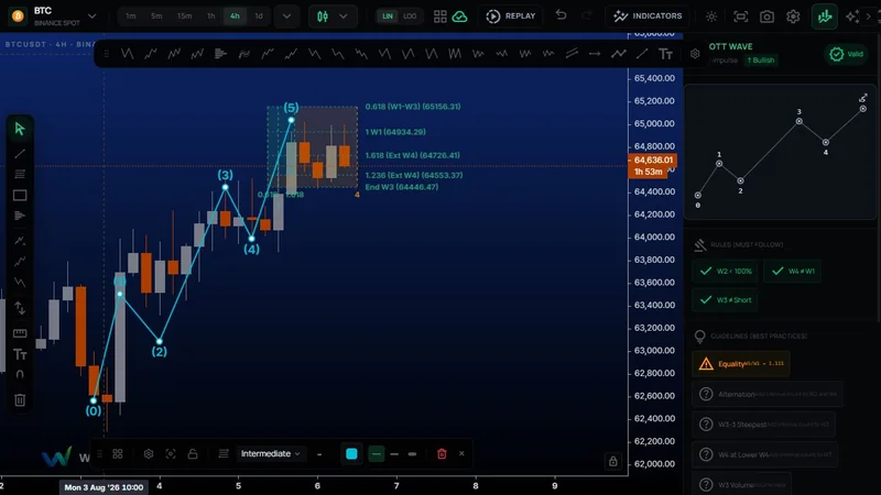 Het door Maeno ontworpen en gebouwde chartingplatform WaveCharts